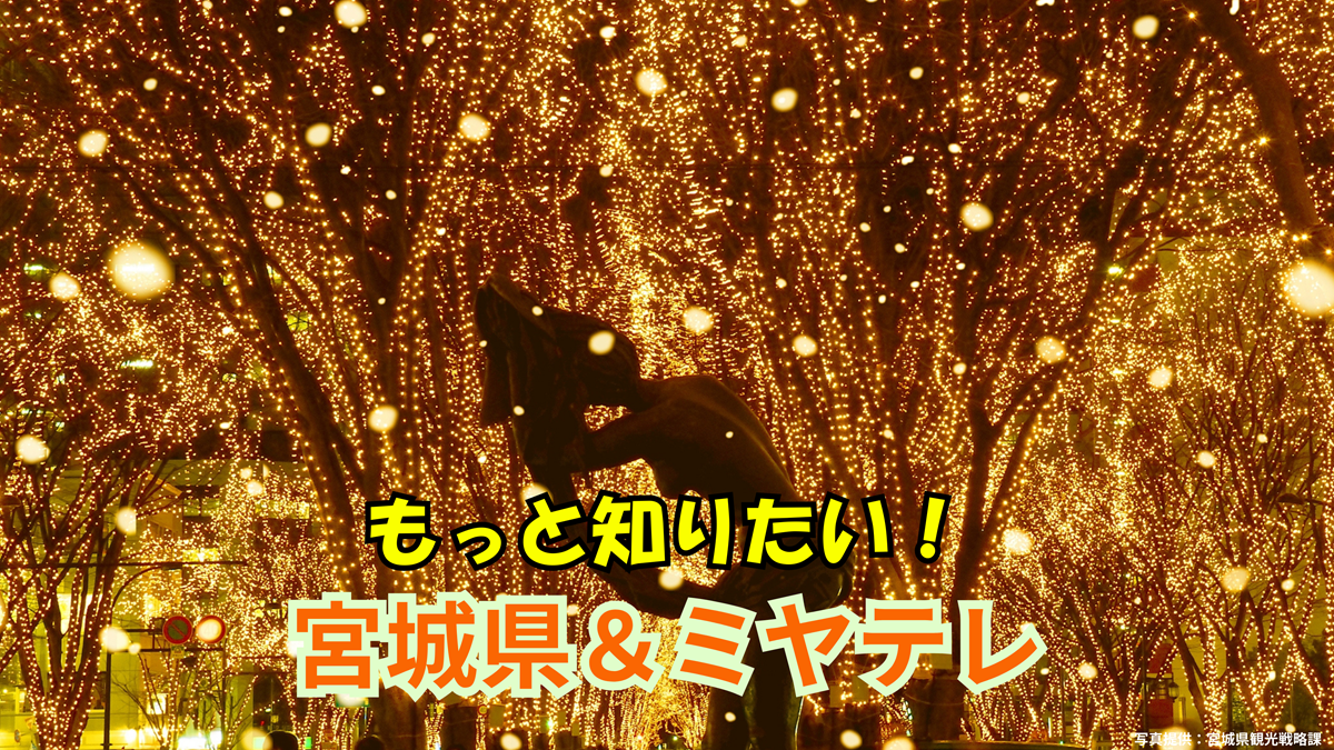 宮城県の魅力、ミヤテレの魅力